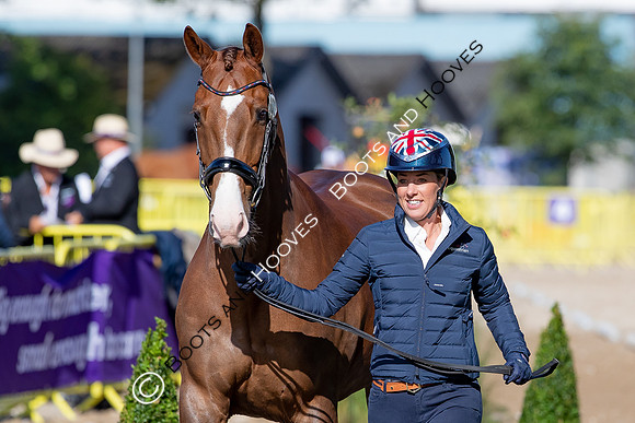 The FEI World Championships Herning 2022