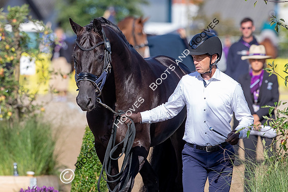 The FEI World Championships Herning 2022