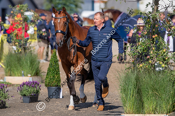 The FEI World Championships Herning 2022