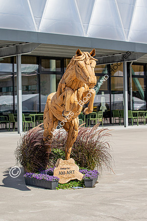 The FEI World Championships Herning 2022