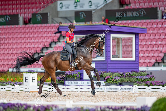 The FEI World Championships Herning 2022