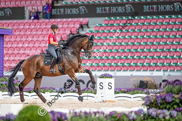 The FEI World Championships Herning 2022