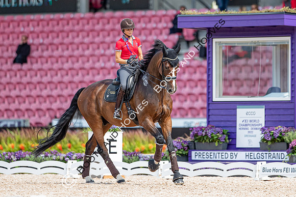 The FEI World Championships Herning 2022