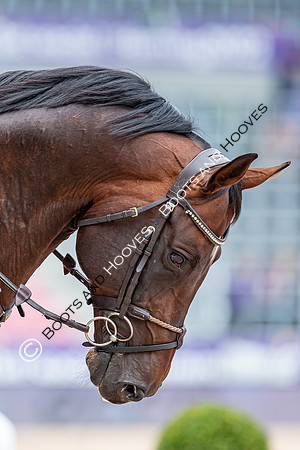 The FEI World Championships Herning 2022