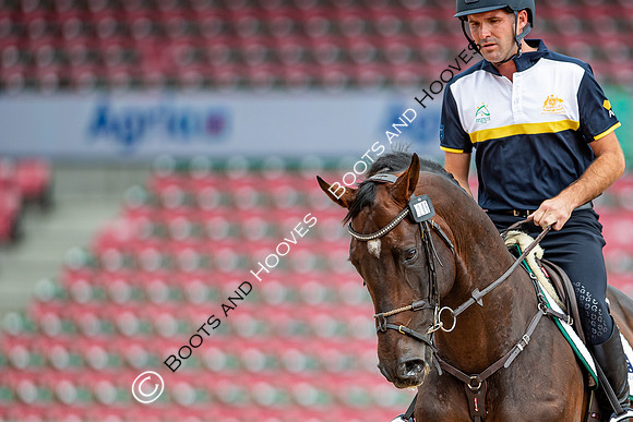 The FEI World Championships Herning 2022