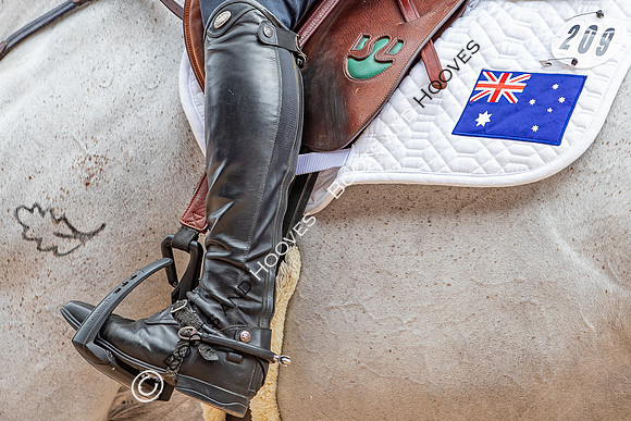The FEI World Championships Herning 2022