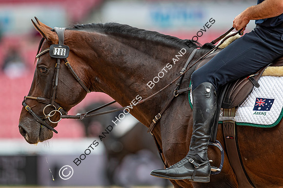 The FEI World Championships Herning 2022