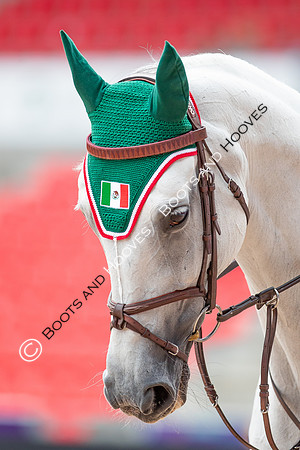 The FEI World Championships Herning 2022