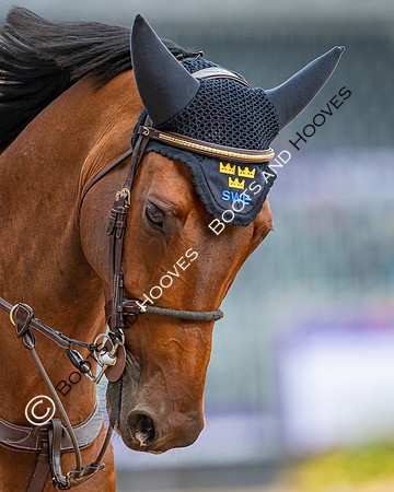 The FEI World Championships Herning 2022
