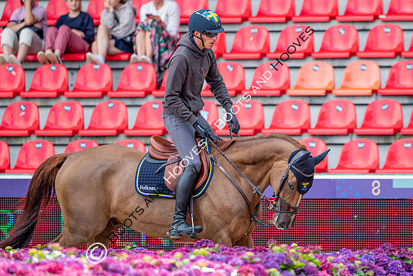 The FEI World Championships Herning 2022