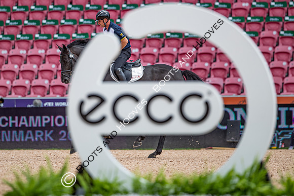 The FEI World Championships Herning 2022