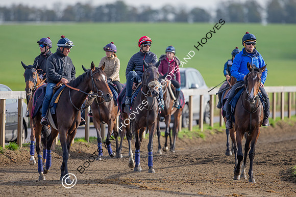 Newmarket