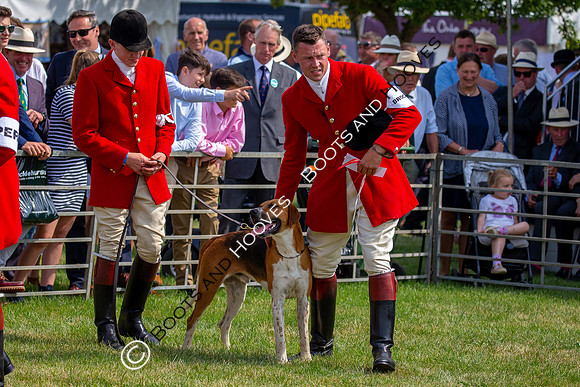 Festival of Hunting