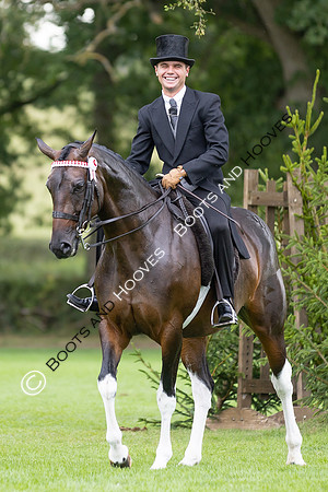 The Royal International Horse Show