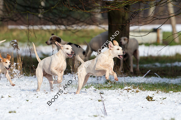 Hunting