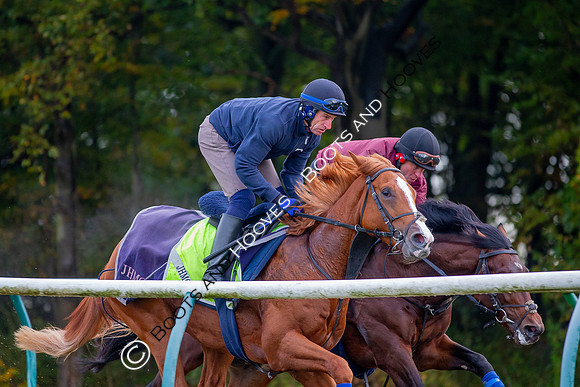 Newmarket