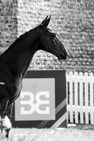 The All England September Tour 2025