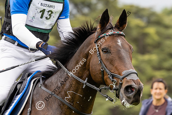 Agria Blenheim Palace International Horse Trials hosting the Agria FEI Eventing European Championship, Eventing, Blenheim Palace, Oxfordshire, UK - 20 Sep 2025