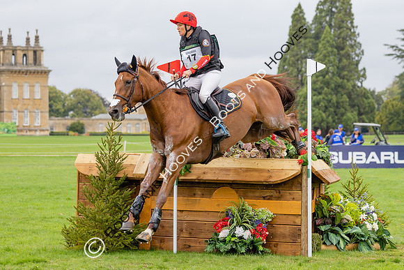 Agria Blenheim Palace International Horse Trials hosting the Agria FEI Eventing European Championship, Eventing, Blenheim Palace, Oxfordshire, UK - 20 Sep 2025