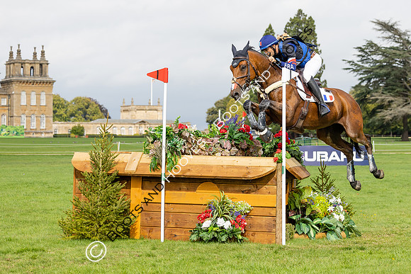 Agria Blenheim Palace International Horse Trials hosting the Agria FEI Eventing European Championship, Eventing, Blenheim Palace, Oxfordshire, UK - 20 Sep 2025