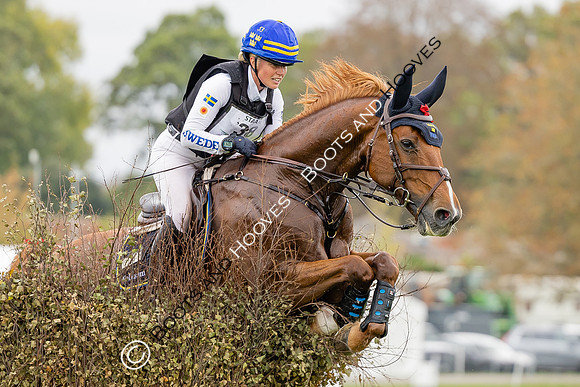 Agria Blenheim Palace International Horse Trials hosting the Agria FEI Eventing European Championship, Eventing, Blenheim Palace, Oxfordshire, UK - 20 Sep 2025