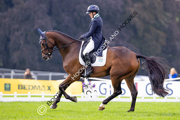 Agria Blenheim Palace International Horse Trials hosting the Agria FEI Eventing European Championship, Eventing, Blenheim Palace, Oxfordshire, UK - 19 Sep 2025