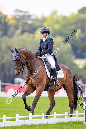 Agria Blenheim Palace International Horse Trials hosting the Agria FEI Eventing European Championship, Eventing, Blenheim Palace, Oxfordshire, UK - 19 Sep 2025