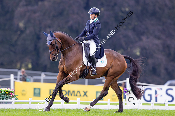 Agria Blenheim Palace International Horse Trials hosting the Agria FEI Eventing European Championship, Eventing, Blenheim Palace, Oxfordshire, UK - 19 Sep 2025