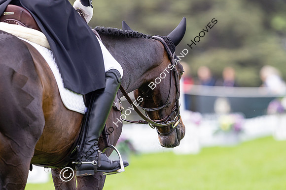 Agria Blenheim Palace International Horse Trials hosting the Agria FEI Eventing European Championship, Eventing, Blenheim Palace, Oxfordshire, UK - 19 Sep 2025