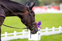Agria Blenheim Palace International Horse Trials hosting the Agria FEI Eventing European Championship, Eventing, Blenheim Palace, Oxfordshire, UK - 19 Sep 2025