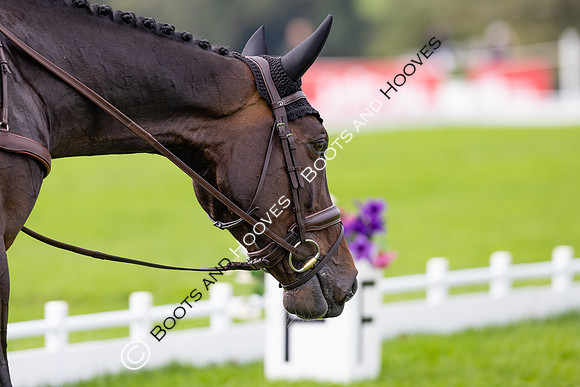Agria Blenheim Palace International Horse Trials hosting the Agria FEI Eventing European Championship, Eventing, Blenheim Palace, Oxfordshire, UK - 19 Sep 2025
