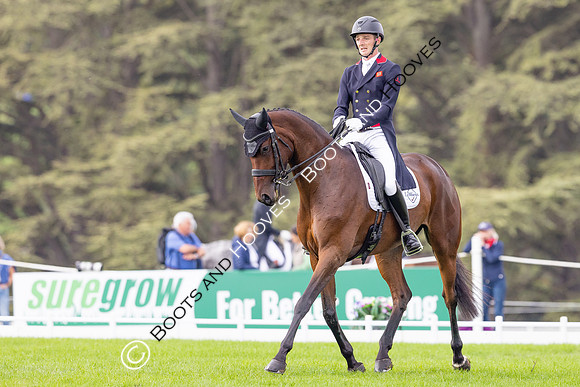 Agria Blenheim Palace International Horse Trials hosting the Agria FEI Eventing European Championship, Eventing, Blenheim Palace, Oxfordshire, UK - 19 Sep 2025
