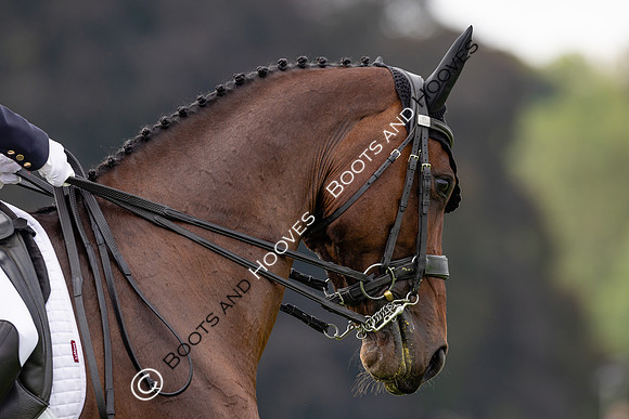 Agria Blenheim Palace International Horse Trials hosting the Agria FEI Eventing European Championship, Eventing, Blenheim Palace, Oxfordshire, UK - 19 Sep 2025