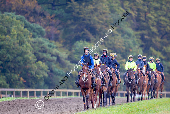 Newmarket