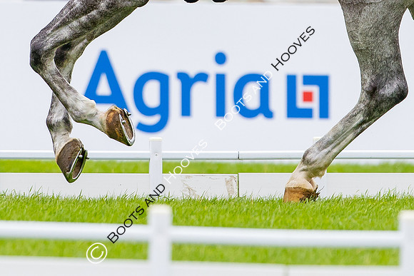 Agria Blenheim Palace International Horse Trials hosting the Agria FEI Eventing European Championship, Eventing, Blenheim Palace, Oxfordshire, UK - 18 Sep 2025