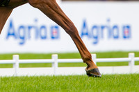 Agria Blenheim Palace International Horse Trials hosting the Agria FEI Eventing European Championship, Eventing, Blenheim Palace, Oxfordshire, UK - 18 Sep 2025