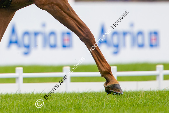 Agria Blenheim Palace International Horse Trials hosting the Agria FEI Eventing European Championship, Eventing, Blenheim Palace, Oxfordshire, UK - 18 Sep 2025
