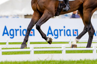 Agria Blenheim Palace International Horse Trials hosting the Agria FEI Eventing European Championship, Eventing, Blenheim Palace, Oxfordshire, UK - 18 Sep 2025