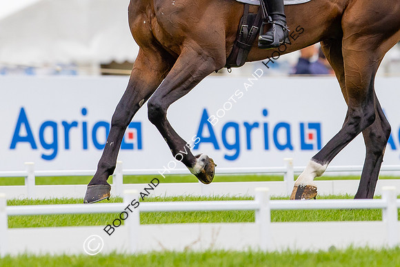 Agria Blenheim Palace International Horse Trials hosting the Agria FEI Eventing European Championship, Eventing, Blenheim Palace, Oxfordshire, UK - 18 Sep 2025