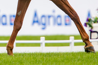 Agria Blenheim Palace International Horse Trials hosting the Agria FEI Eventing European Championship, Eventing, Blenheim Palace, Oxfordshire, UK - 18 Sep 2025