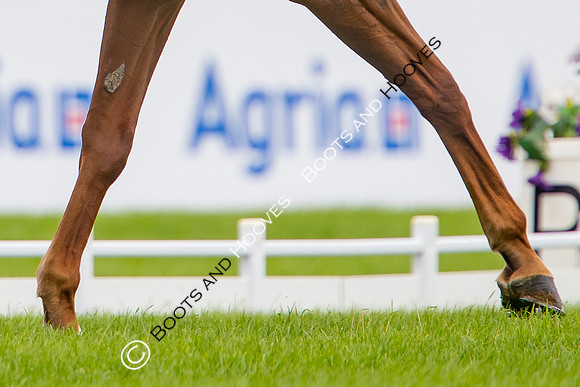 Agria Blenheim Palace International Horse Trials hosting the Agria FEI Eventing European Championship, Eventing, Blenheim Palace, Oxfordshire, UK - 18 Sep 2025