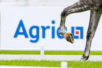 Agria Blenheim Palace International Horse Trials hosting the Agria FEI Eventing European Championship, Eventing, Blenheim Palace, Oxfordshire, UK - 18 Sep 2025