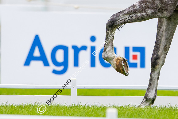 Agria Blenheim Palace International Horse Trials hosting the Agria FEI Eventing European Championship, Eventing, Blenheim Palace, Oxfordshire, UK - 18 Sep 2025