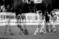 Agria Blenheim Palace International Horse Trials hosting the Agria FEI Eventing European Championship, Eventing, Blenheim Palace, Oxfordshire, UK - 18 Sep 2025