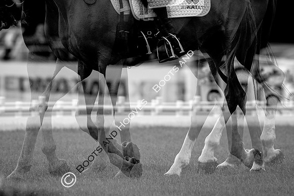Agria Blenheim Palace International Horse Trials hosting the Agria FEI Eventing European Championship, Eventing, Blenheim Palace, Oxfordshire, UK - 18 Sep 2025