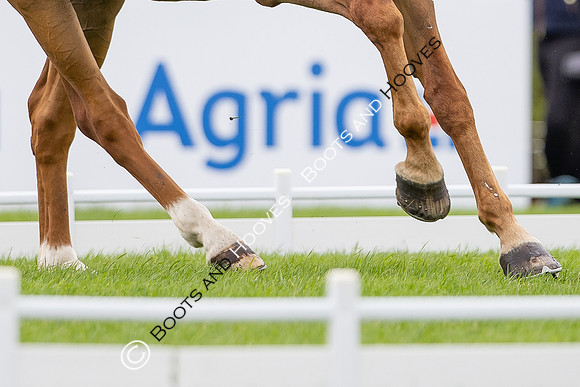 Agria Blenheim Palace International Horse Trials hosting the Agria FEI Eventing European Championship, Eventing, Blenheim Palace, Oxfordshire, UK - 18 Sep 2025