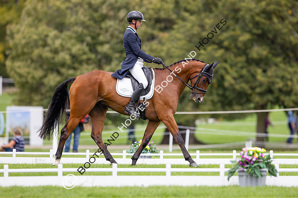 Agria Blenheim Palace International Horse Trials hosting the Agria FEI Eventing European Championship, Eventing, Blenheim Palace, Oxfordshire, UK - 18 Sep 2025
