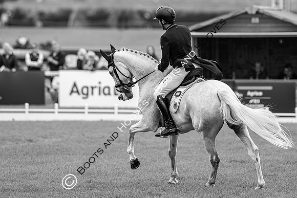 Agria Blenheim Palace International Horse Trials hosting the Agria FEI Eventing European Championship, Eventing, Blenheim Palace, Oxfordshire, UK - 18 Sep 2025