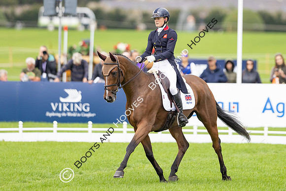 Agria Blenheim Palace International Horse Trials hosting the Agria FEI Eventing European Championship, Eventing, Blenheim Palace, Oxfordshire, UK - 18 Sep 2025