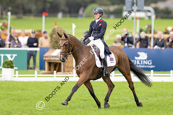 Agria Blenheim Palace International Horse Trials hosting the Agria FEI Eventing European Championship, Eventing, Blenheim Palace, Oxfordshire, UK - 18 Sep 2025